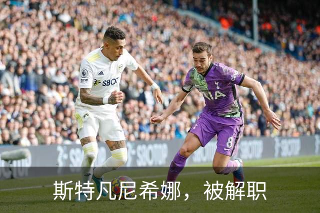 斯特凡尼希娜，被解职